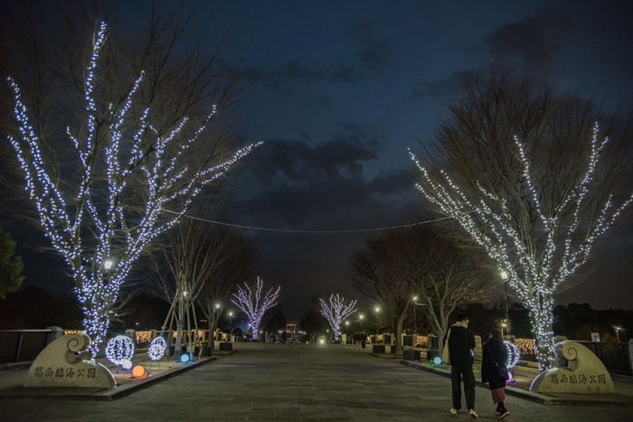 公園入口ライトアップ