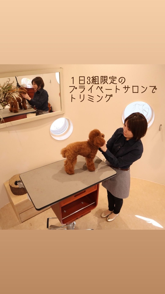 「トリミングサロン ソエル ドッグケア」