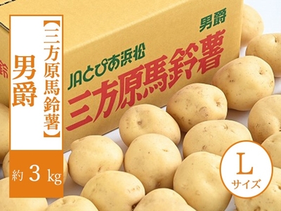 三方原馬鈴薯 男爵