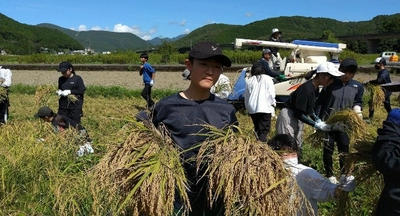 近畿大学附属新宮中学校1年生が熊野川町で稲刈りを体験　紀伊半島大水害の復興地域で「ふるさと教育」を実施