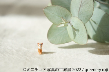 他では見れない約1年がかりの作品も？！ミニチュアアート最新作 「ミニチュア写真の世界展 2022」4/8～開催！出展者数66組超え