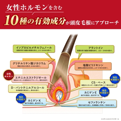 10種の育毛有効成分を配合