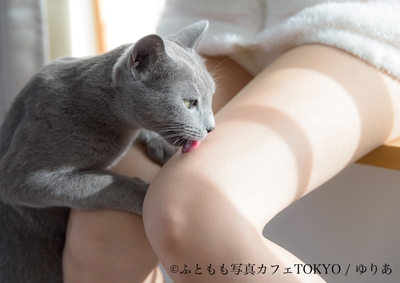 イメージ2