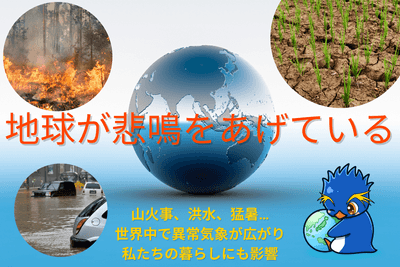 世界の災害