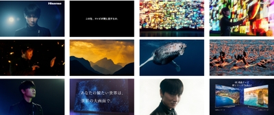 CMカット