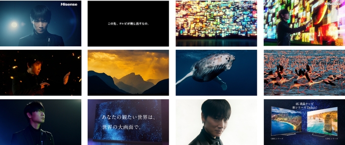 CMカット