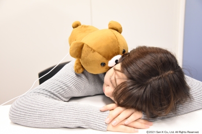 あったかぬいぐるみシリーズ 使用イメージ(3)