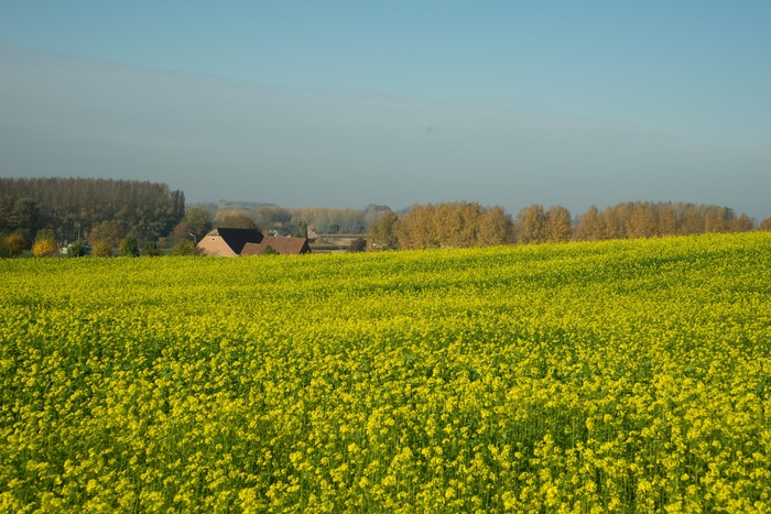 野生酵母が生まれるパヨッテンランド