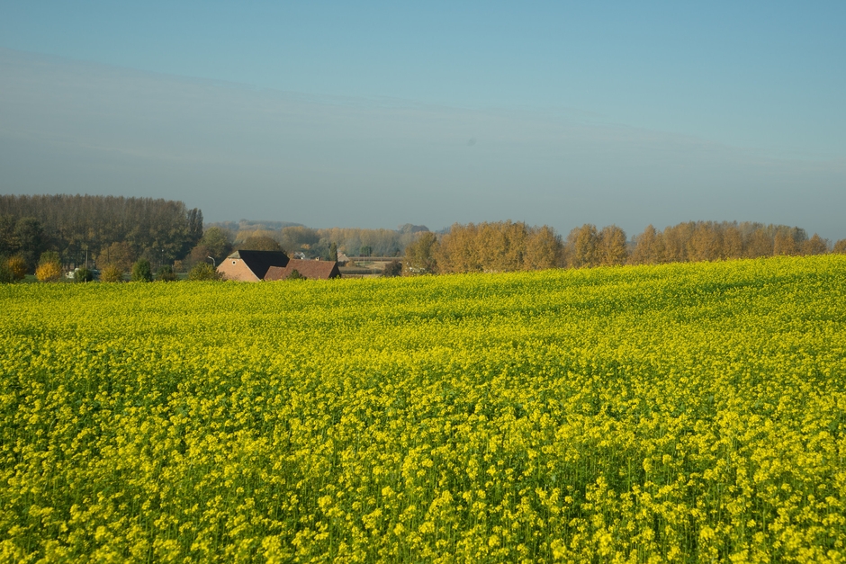 野生酵母が生まれるパヨッテンランド