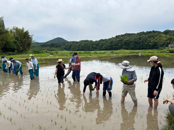 【農業（米づくり）】