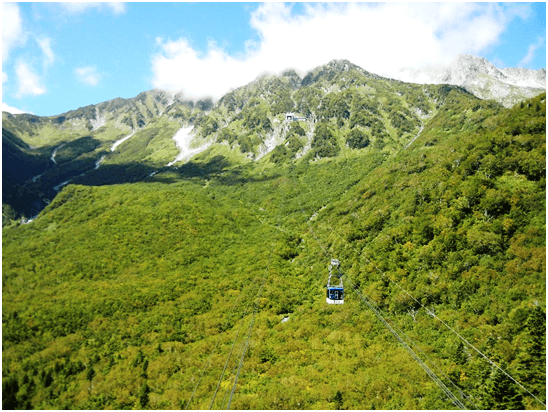 新緑鮮やかな360度パノラマ風景