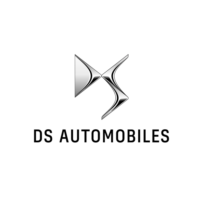 DS　logo