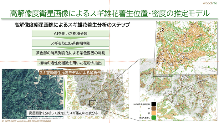高解像度衛星画像による雄花密度マップ