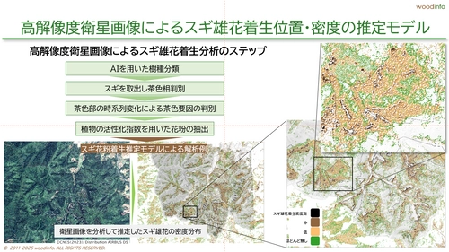 衛星データとAIで 「花粉症対策 × 森林経営 × カーボンクレジット」を実現する リモートセンシング解析サービスを正式リリース
