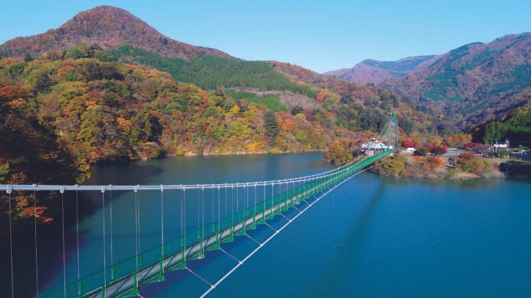 ［写真：もみじ谷大吊橋の紅葉］