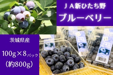 今が旬！程よい甘さと酸味が広がる茨城県産「ブルーベリー」を 「ＪＡタウン」のショップ「いいものいっぱい広場」で販売開始！