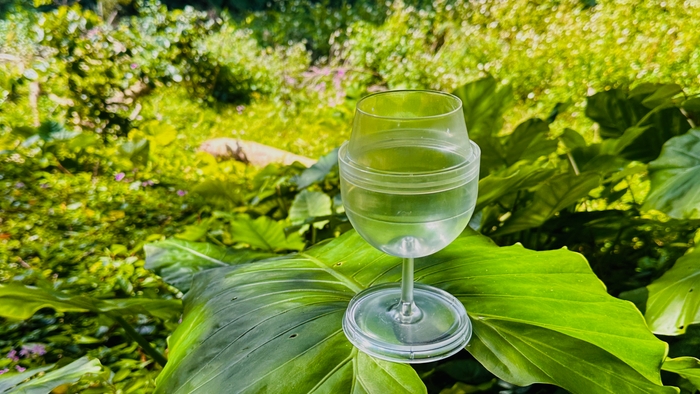 大きい葉の上に75gのグラスを置いている画像