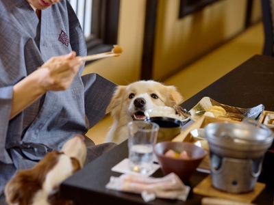 愛犬と一緒に過ごせるお食事処
