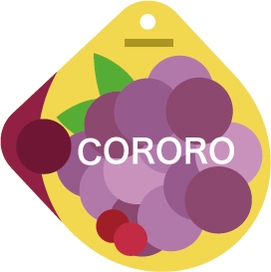 第3位 UHA味覚糖 コロロ グレープ