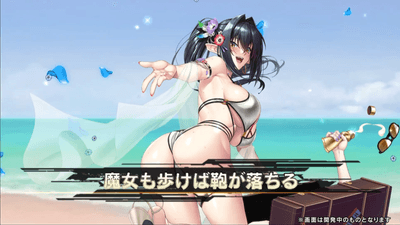 奥義発動画面