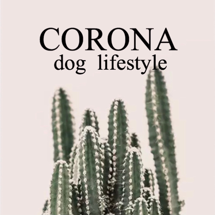 coronadoglifestyle