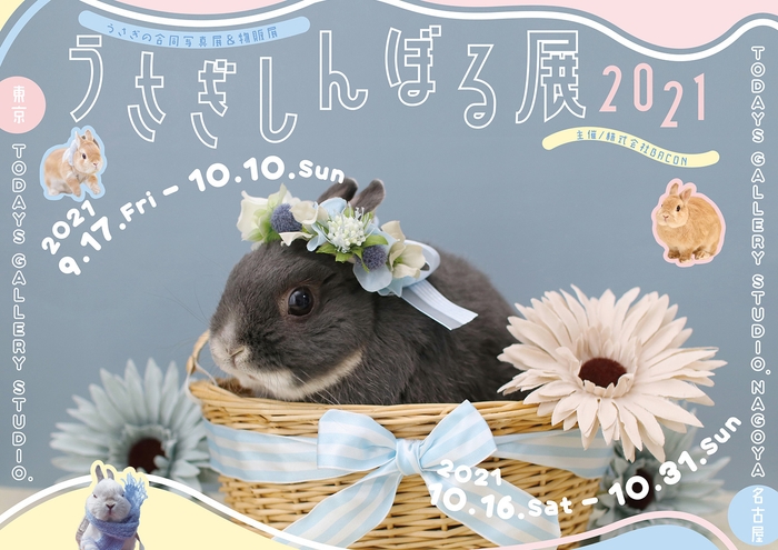 キービジュアル(横)