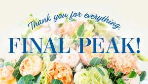 OUTLET PEAK15周年の歴史に幕 最後の特大セールを開催 ～OUTLET PEAK史上最もお得な11日間～