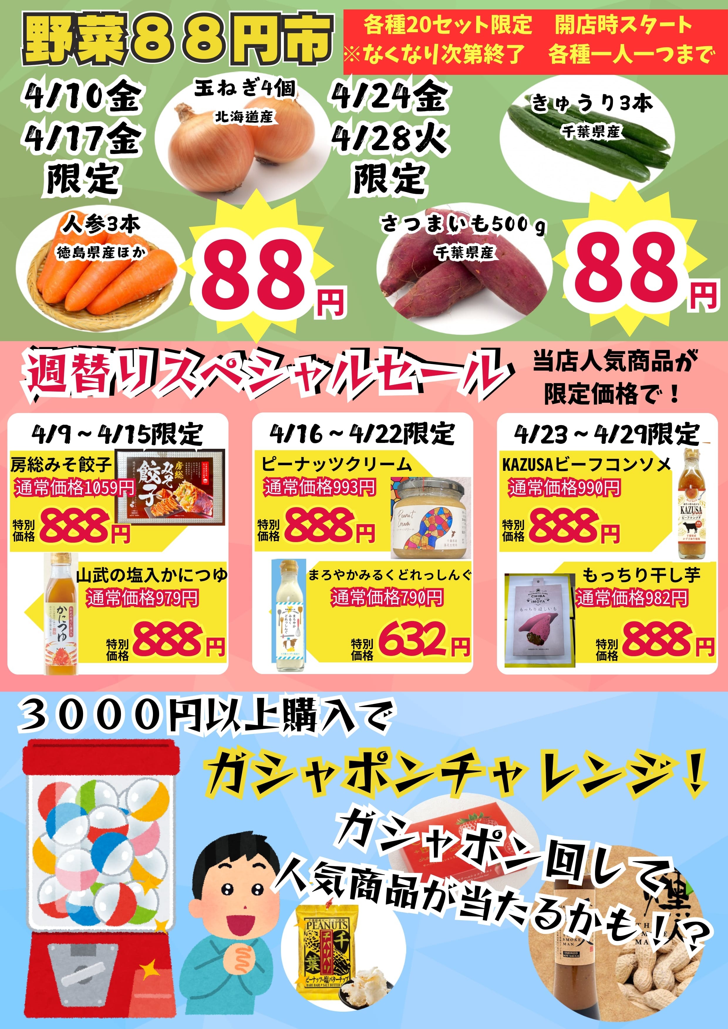 房総・村の駅 八周年祭(2)