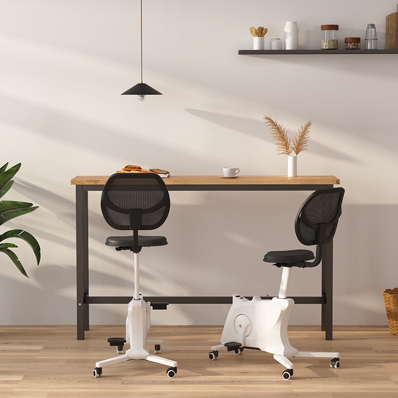 チェアバイクSit2Go FC211