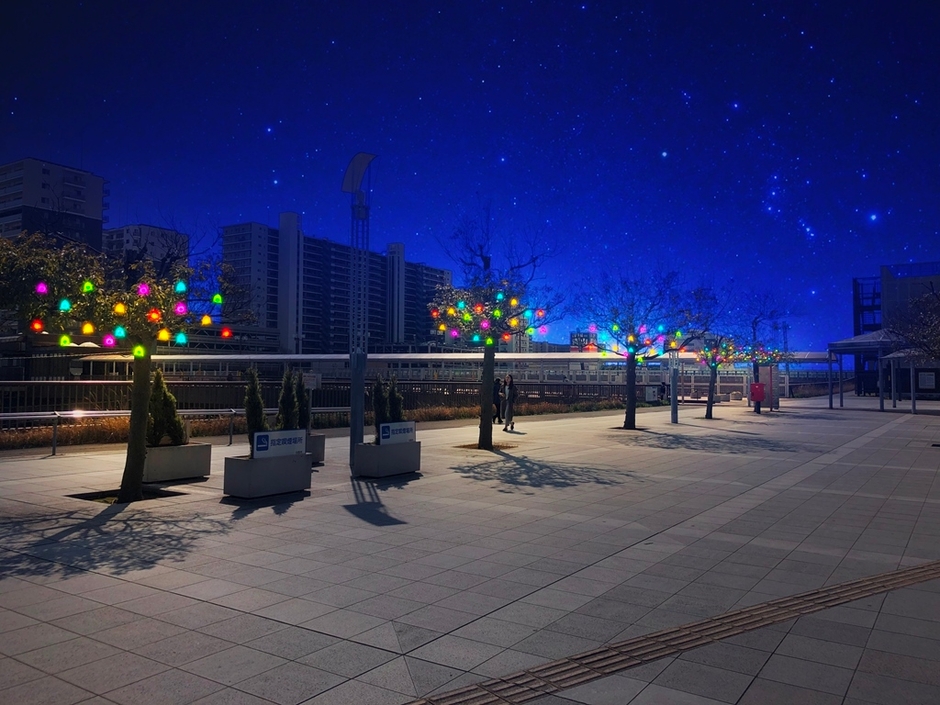 ミライの実(イメージ)