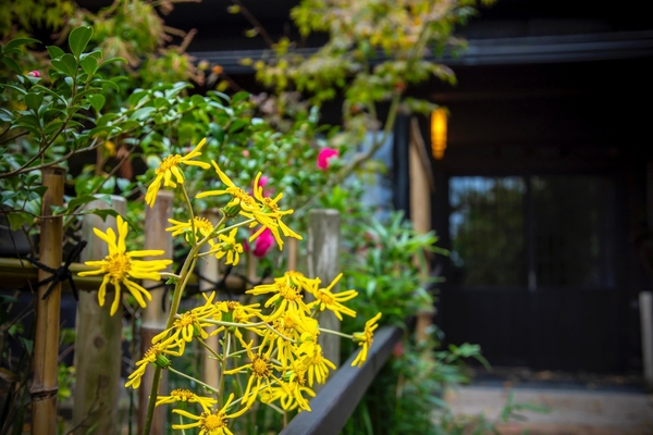 【特別棟 瑞雨】新潟から移築した古民家