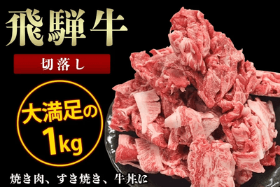 〇飛騨牛 切落し 1kg(500g×2)