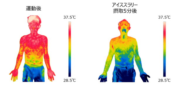 暑熱環境下における運動後のアイススラリー飲用による身体冷却イメージ （撮影協力：広島大学　長谷川博教授）