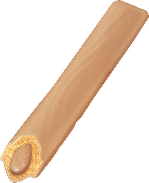 ショコラエリーゼブロンドミルク生地(1)