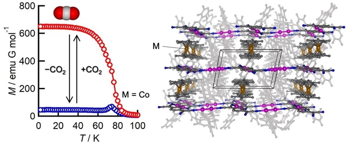 図 二酸化炭素（CO2）の吸着で磁気相を変える分子多孔性材料