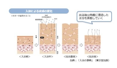 入浴による皮膚の変化