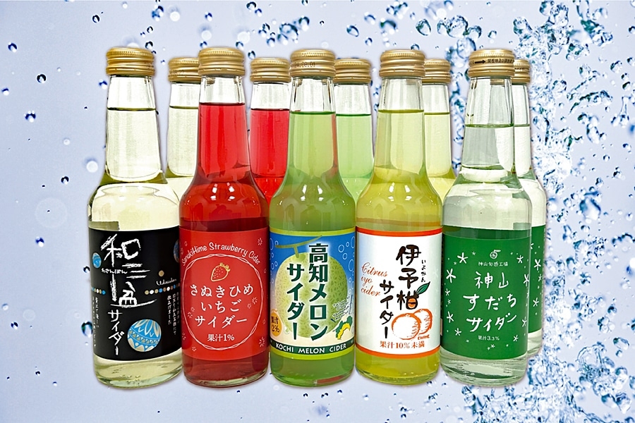 四国のご当地サイダー１０本詰合せ