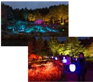 (上・下)高橋匡太 「Glow with Night Garden Project in Rokko 提灯行列ランドスケープ」 2016年