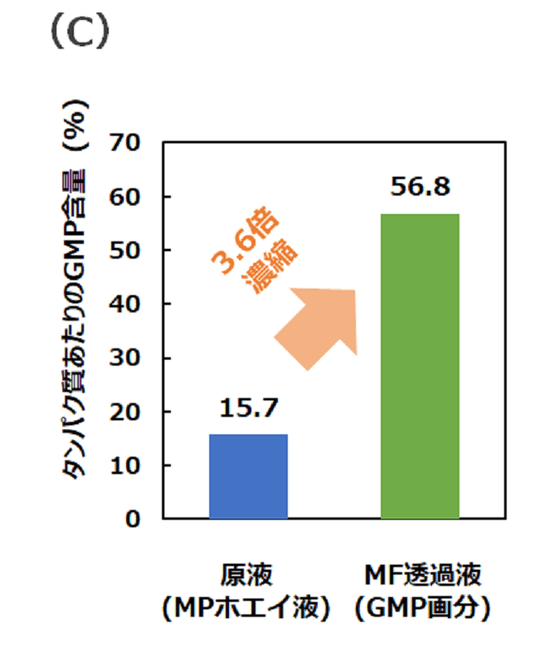 (C) MF膜処理によりGMP含量は約3.6倍に濃縮された