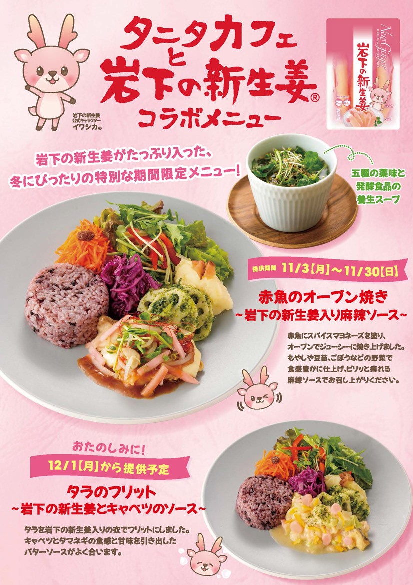 タニタカフェと岩下の新生姜コラボメニュー