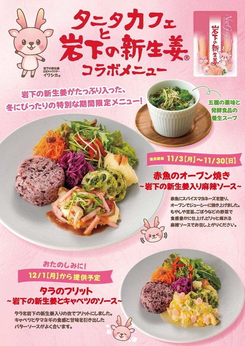 タニタカフェと岩下の新生姜コラボメニュー