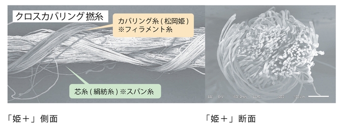 「姫+」側面・断面