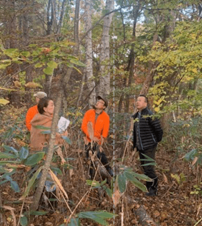 『Afan Heulwen Woodland by Hikari Miso』を視察するひかり味噌󠄀(株)林社長