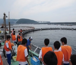 【台風接近に伴い、中止となりました】高校生が『近大マグロ』のふ化を観察～体験から学ぶ高大連携プログラム～　近畿大学水産研究所&#215;近畿大学附属新宮高校