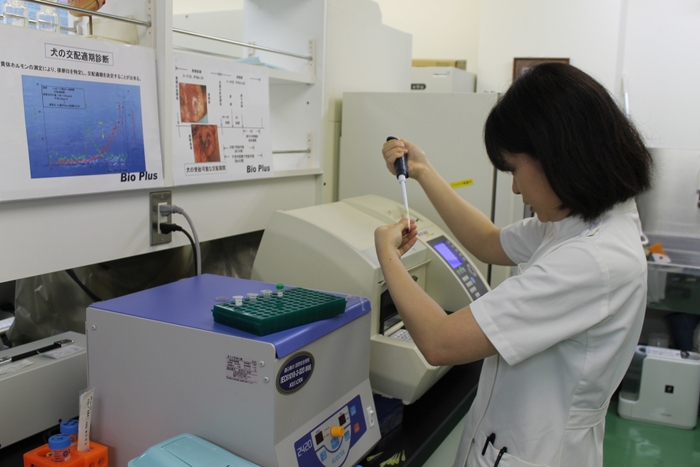 血中黄体ホルモン測定の様子