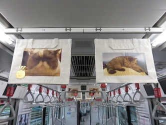 PIXUSでプリントされた総勢288作品の「ブサかわ猫ちゃん」が史上初、JR山手線11両編成を丸ごとトレインジャック猫に囲まれる話題の「スマフォトレイン」の全貌をスペシャルサイトで大公開！！（http://cweb.canon.jp/pixus/special/busakawaneko/）～運行は12月2日（火）まで～