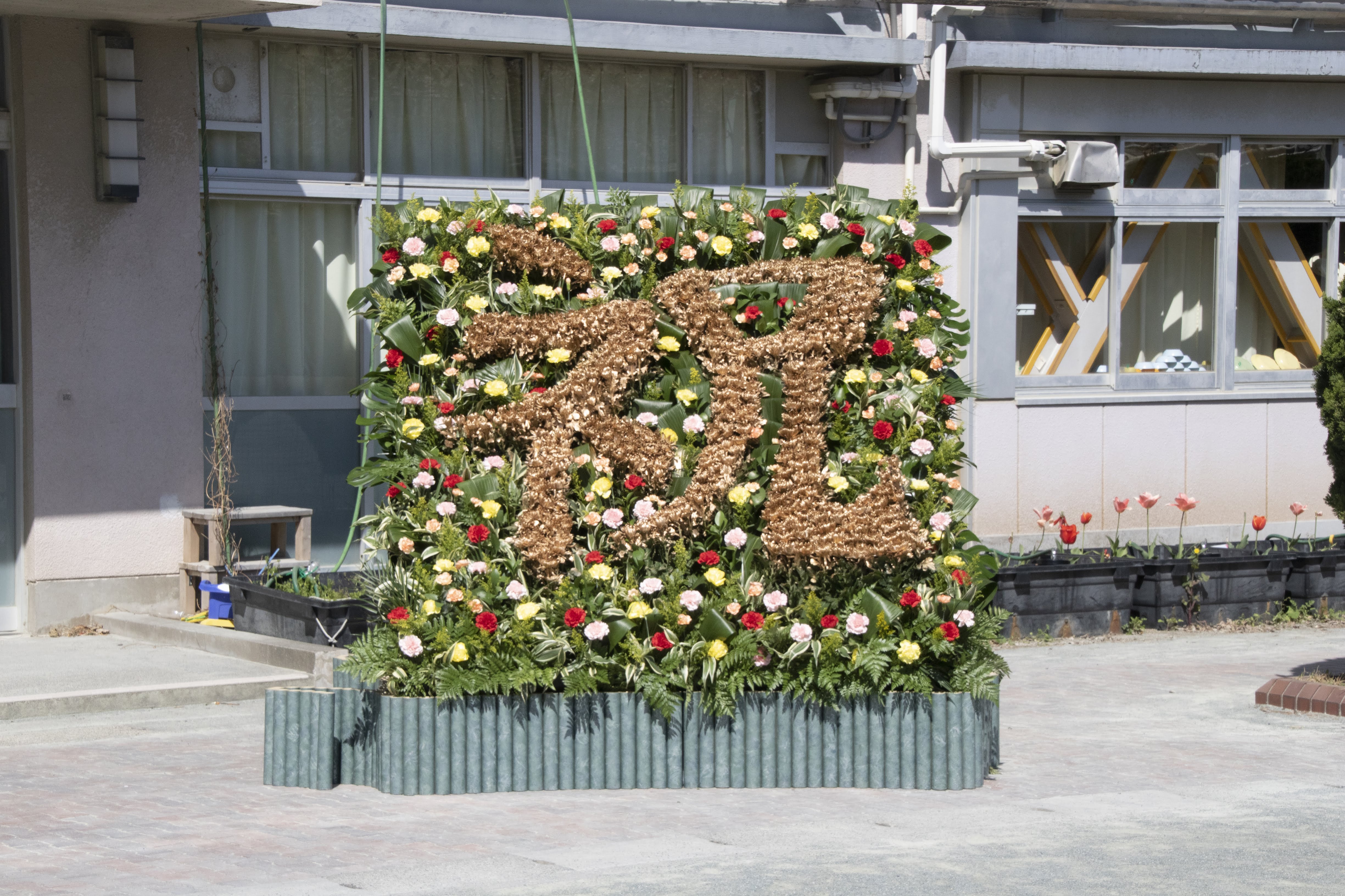 花(菊)約600本を使い、世田谷区の小学校卒業式へ花を添えたサプライズ演出。花で描く “祝” 華魅(ハナミ)