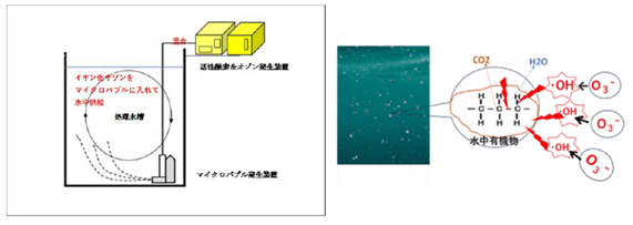 画像5　W-Gaia設置と処理説明