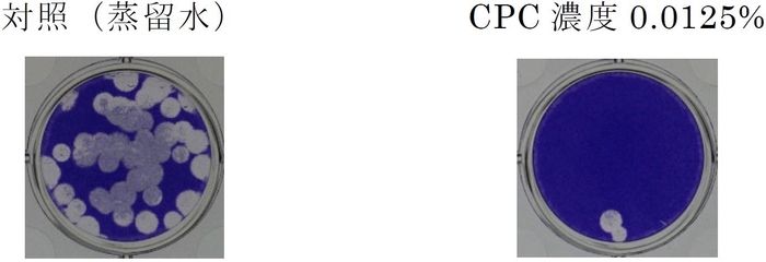 図２　CPCを５分間曝露した時のA型インフルエンザウイルス（H3N2）不活化の様子 （プラーク法＊＊）