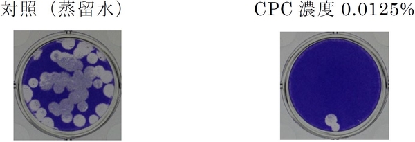 図2 CPCを5分間曝露した時のA型インフルエンザウイルス(H3N2)不活化の様子 (プラーク法**)